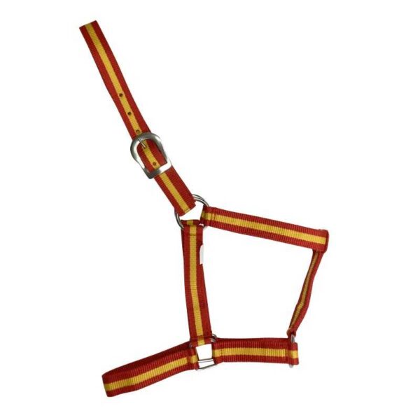 Cabezada de nylon con colores de la bandera española