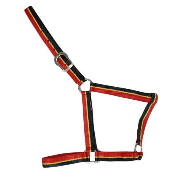 Cabezada de nylon con colores de la bandera portuguesa