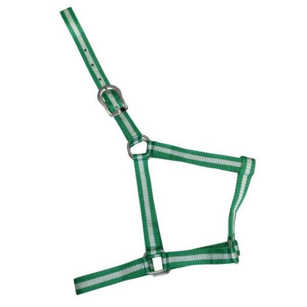 Cabezada de nylon verde y blanca