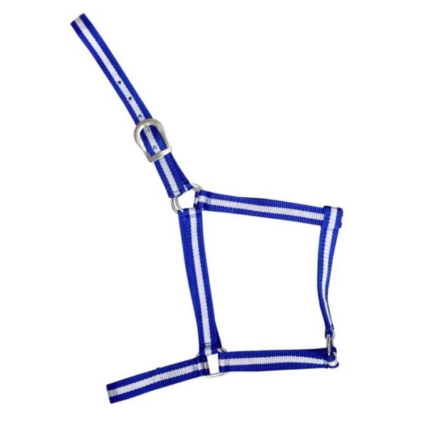 Cabezada de nylon azul y blanca