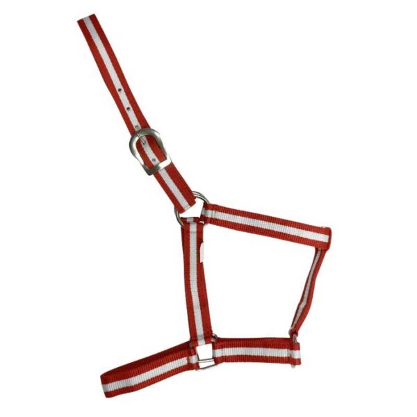 Cabezada de nylon roja, blanca y roja