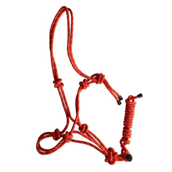 Cabezada de nudos Full con ramal incorporado — rojo-amarillo