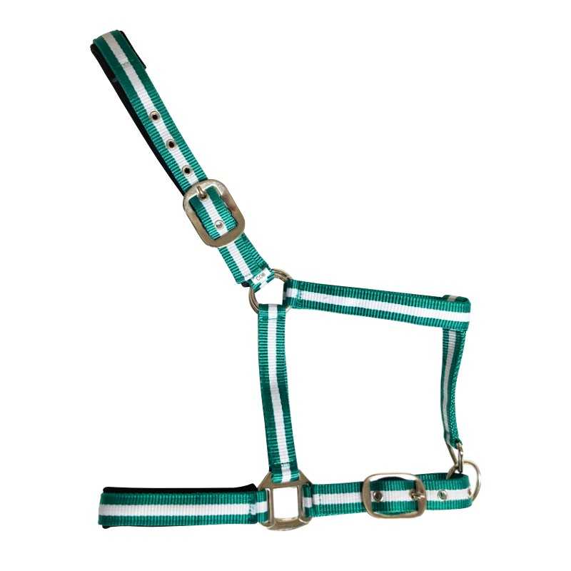 Cabezada de nylon Soft acolchada con franjas de color — verde-blanco-verde
