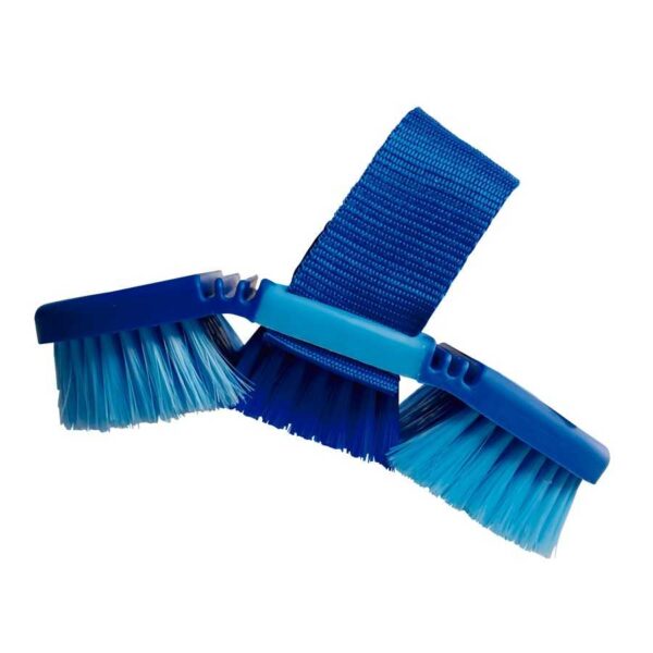 Base flexionada de la bruza azul