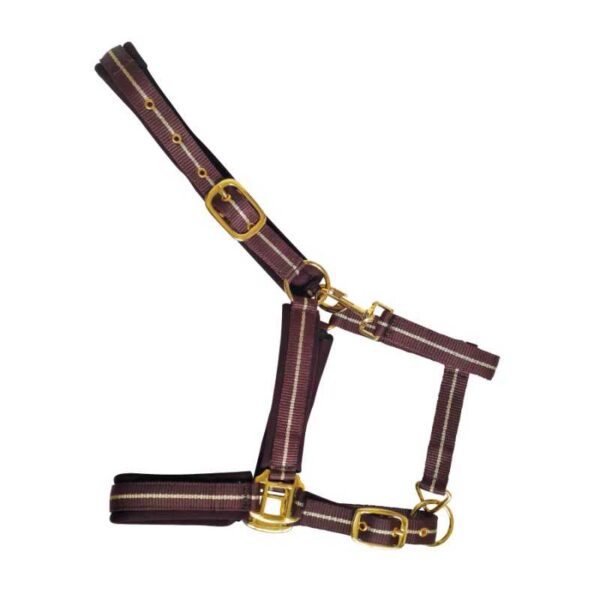 Cabezada de nylon con neopreno y herrajes dorados berenjena y dorado