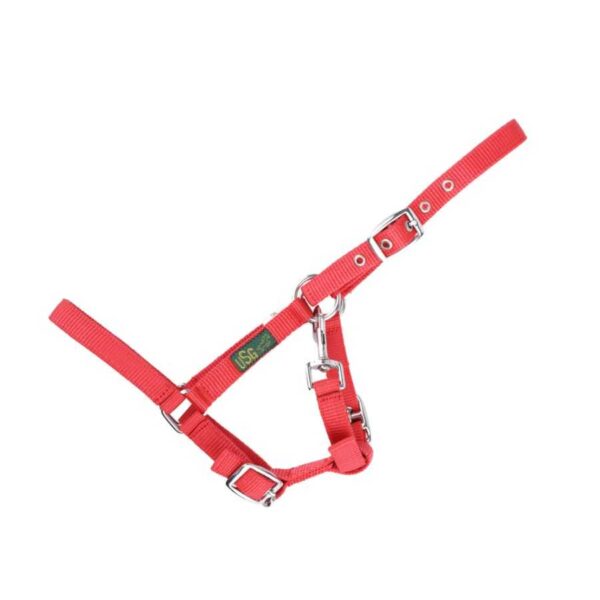 Cabezada USG para potro roja