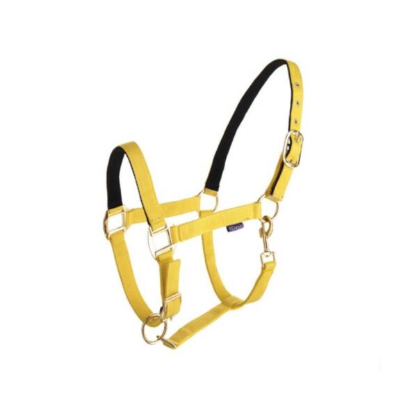 Cabezada Daslö de nylon doble con forro de nubuck — amarillo