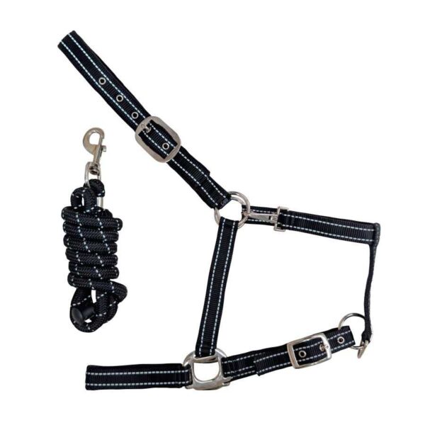 Conjunto de cabezada y ramal negro con puntadas reflectantes