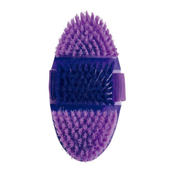 Cerdas de la bruza morada y lavanda