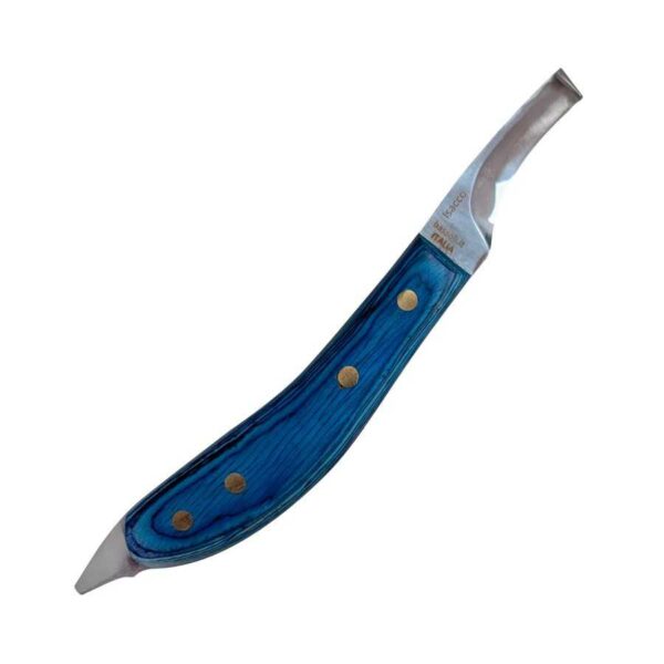 Legra Bassoli Isacco de corte derecho con mango azul