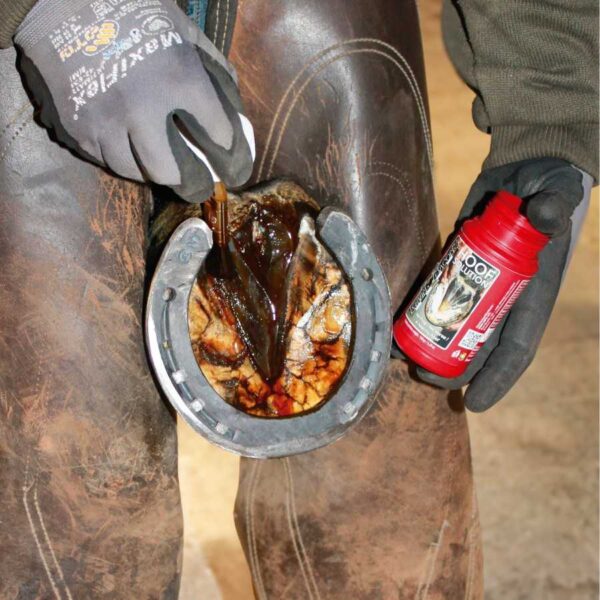 Aplicación exterior de Hoof Solution con pincel