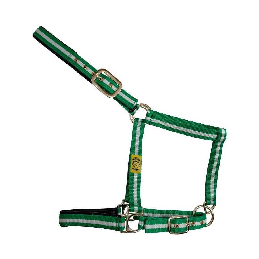 Cabezada de nylon con elastotex verde y blanca