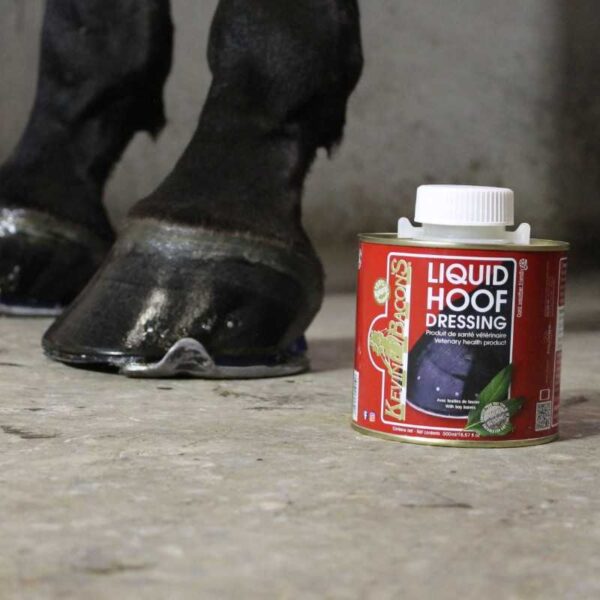 Liquid Hoof Dressing de 500 ml junto a un casco
