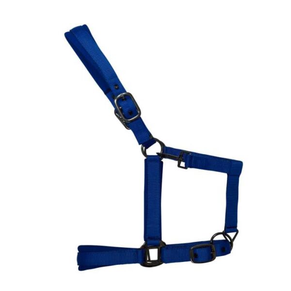 Cabezada de nylon con neopreno y herrajes negros azul royal y negra
