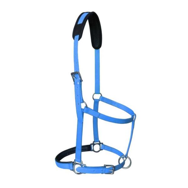Cabezada Marjoman de biothane azul claro