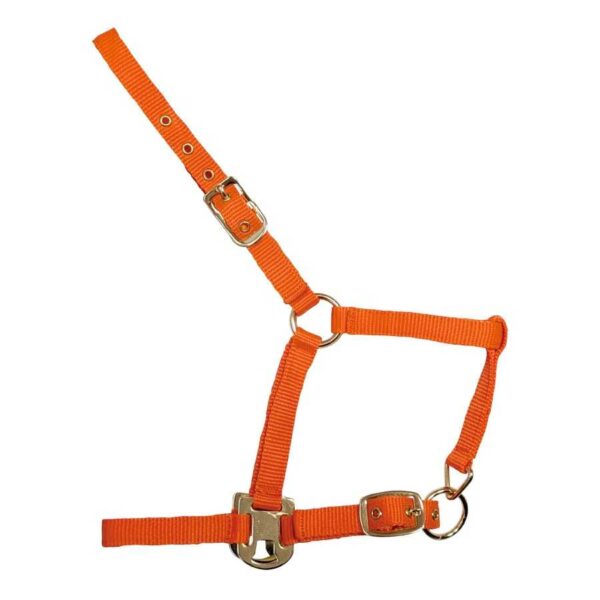 Cabezada Deluxe naranja de nylon para potro