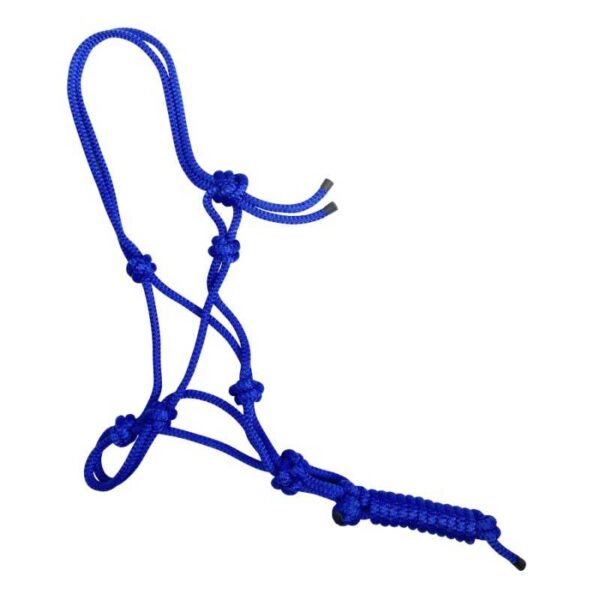 Cabezada de nylon anudada con ramal — azul