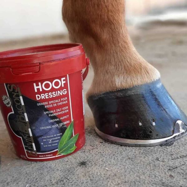 Envase Hoof Dressing Original junto a un casco