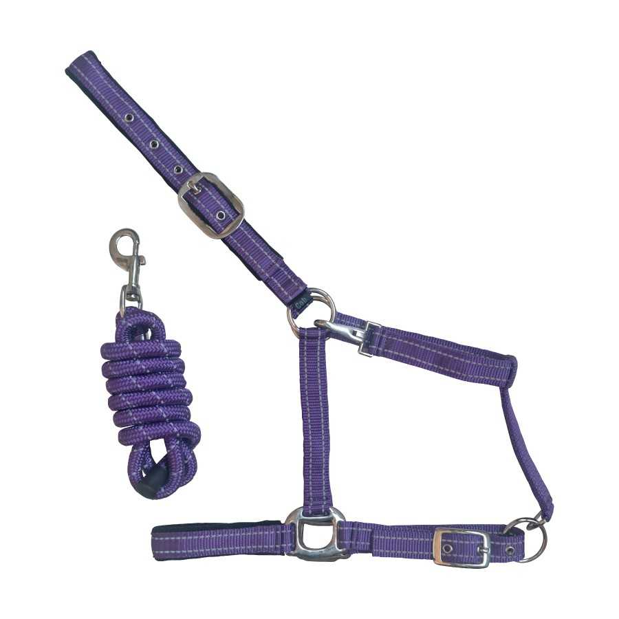 Conjunto de cabezada y ramal morado con puntadas reflectantes