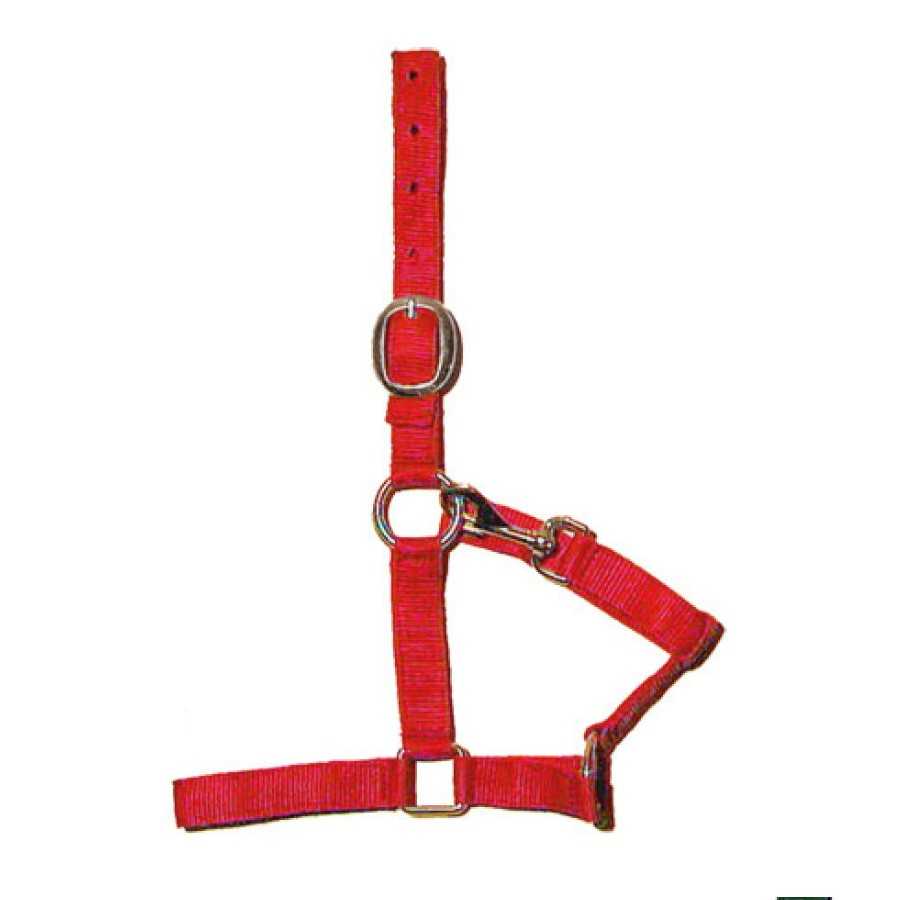 Cabezada Daslö de nylon doble roja