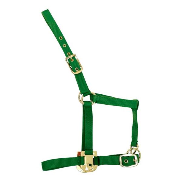 Cabezada Deluxe verde de nylon para potro