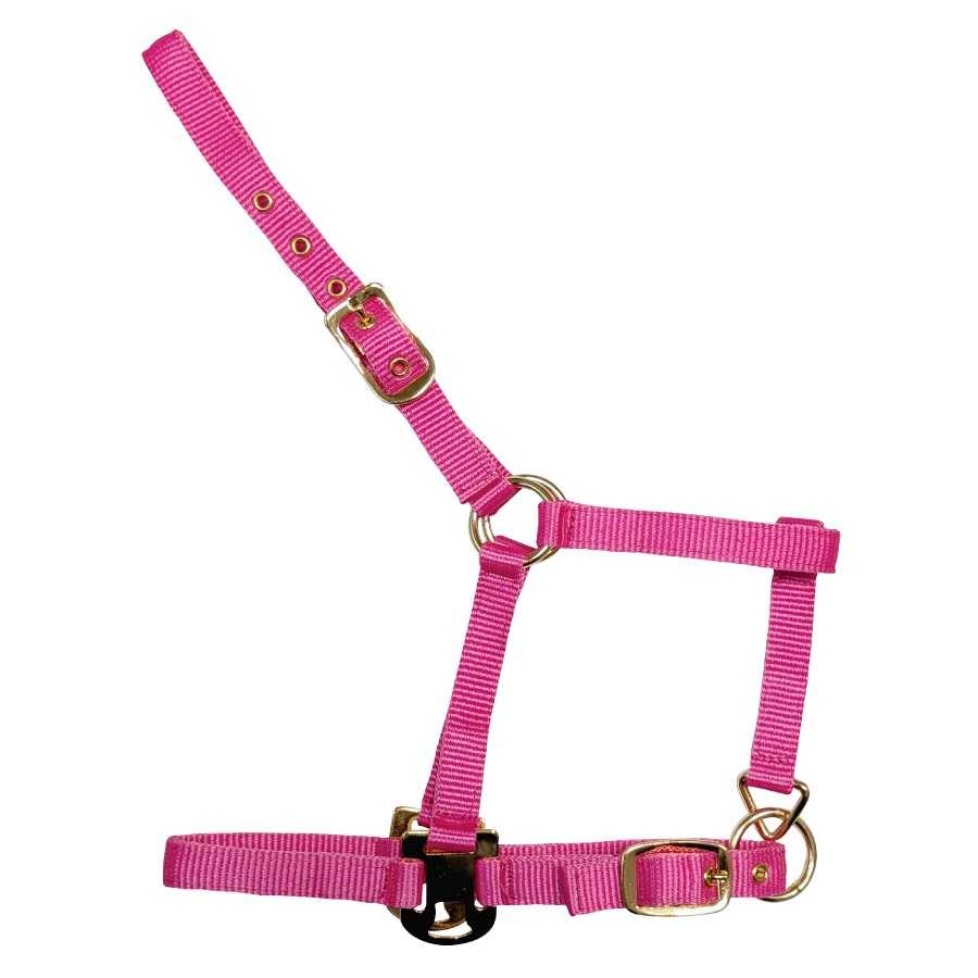 Cabezada Deluxe rosa de nylon para potro