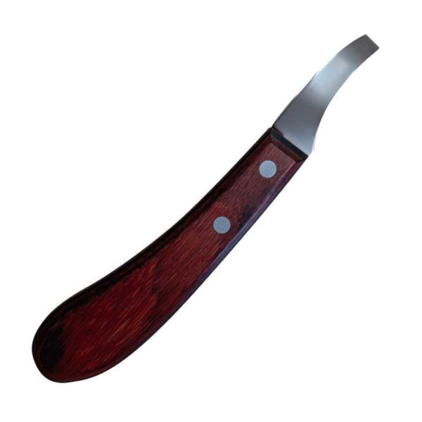 Legra Dick Champion de anilla oval