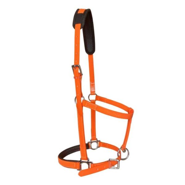 Cabezada Marjoman de biothane naranja