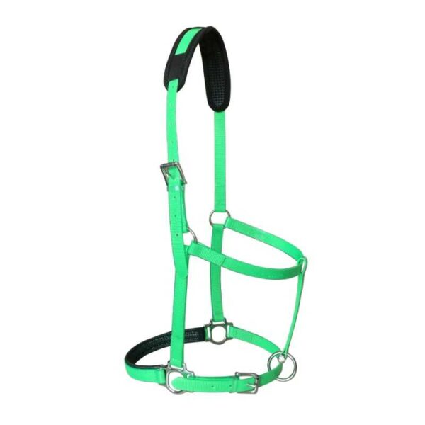 Cabezada Marjoman de biothane verde