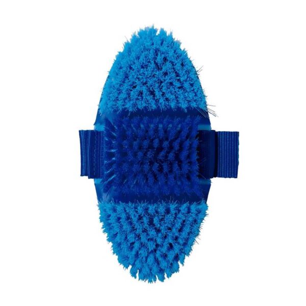 Cerdas de la bruza azul y azul claro
