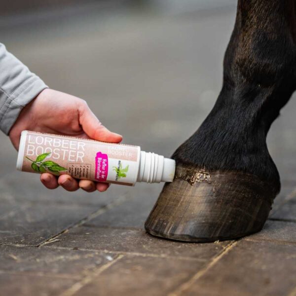 Uso del cepillo aplicador LorbeerBooster