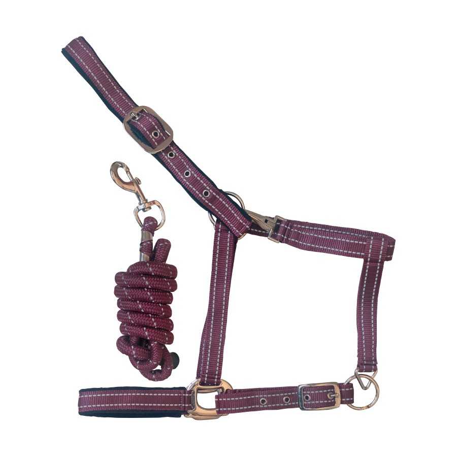 Conjunto de cabezada y ramal burdeos con puntadas reflectantes