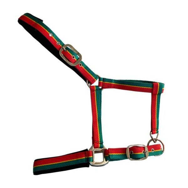 Cabezada de nylon Soft acolchada con franjas de color — bandera portuguesa