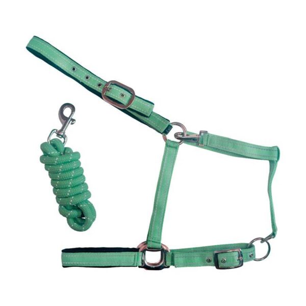 Conjunto de cabezada y ramal verde menta con puntadas reflectantes