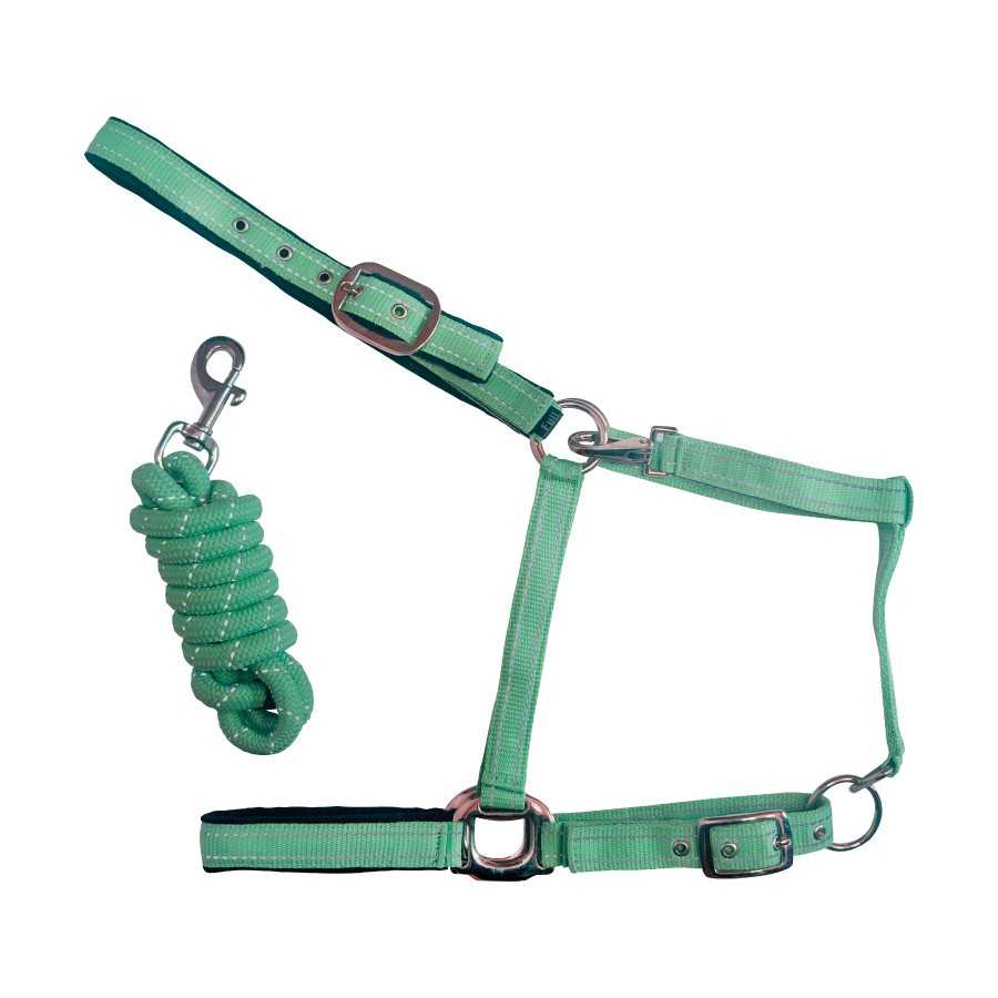 Conjunto de cabezada y ramal verde menta con puntadas reflectantes