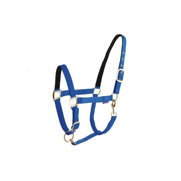 Cabezada Daslö de nylon doble en azul royal