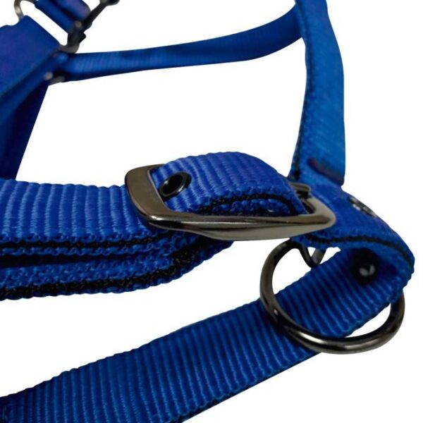 Cabezada de nylon con neopreno y herrajes negros azul, detalle de la hebilla