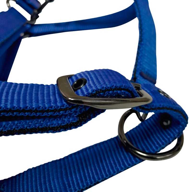 Cabezada de nylon con neopreno y herrajes negros azul, detalle de la hebilla