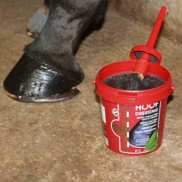 Aplicación de Hoof Dressing Black con pincel no incluido
