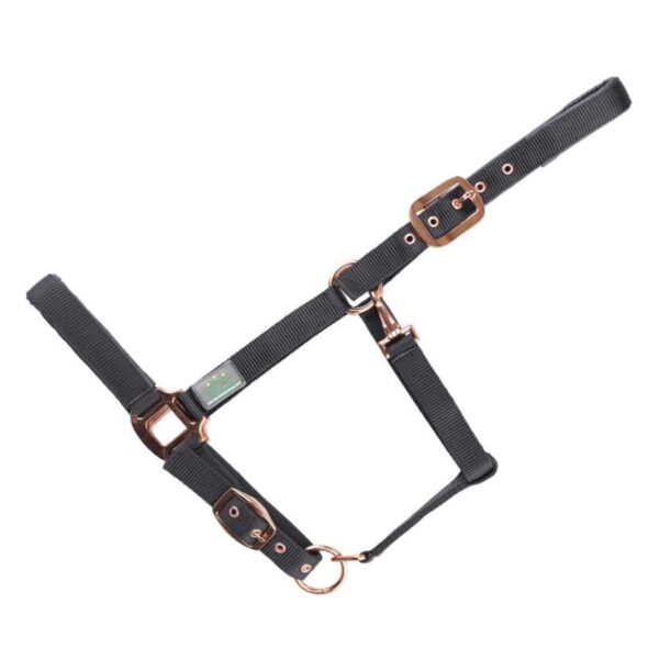 Cabezada USG Everyday negra con herrajes oro rosa