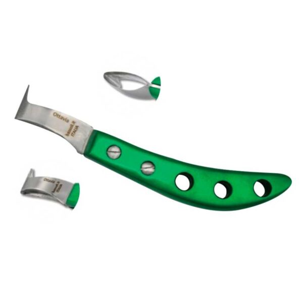 Legra Bassoli Ottavia Alu verde con hoja de ojo grande y limpiacascos