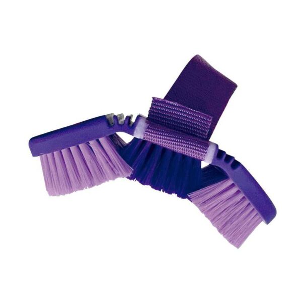 Base flexionada de la bruza morada y lavanda