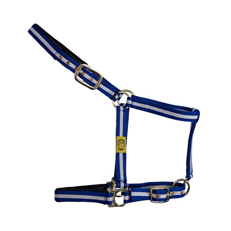 Cabezada de nylon con elastotex azul y blanca