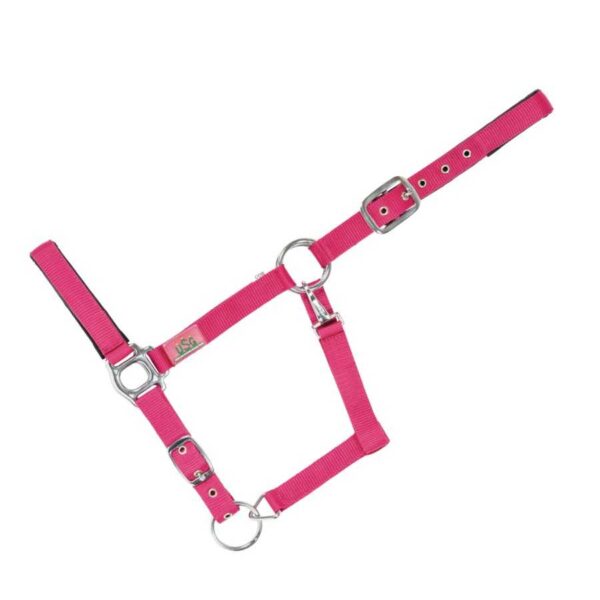Cabezada USG Everyday fucsia
