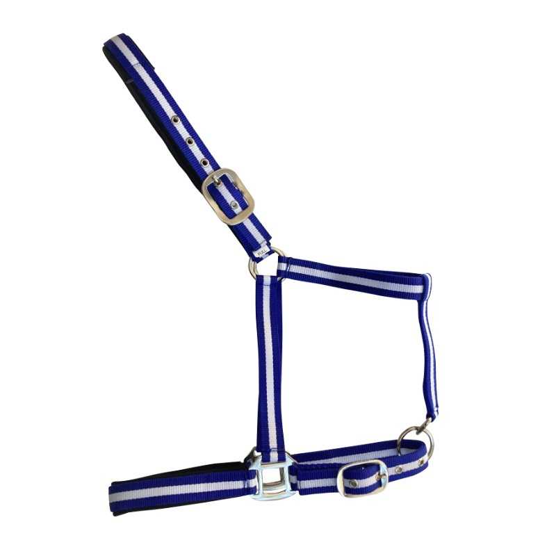 Cabezada de nylon Soft acolchada con franjas de color — azul-blanco-azul