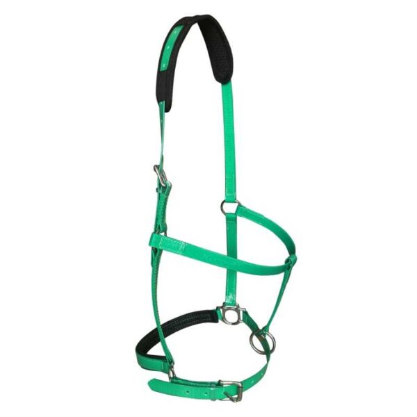 Cabezada Marjoman de biothane verde oscuro