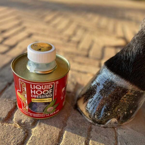 Acabado de brillo dorado Liquid Hoof Dressing Glitter en un casco