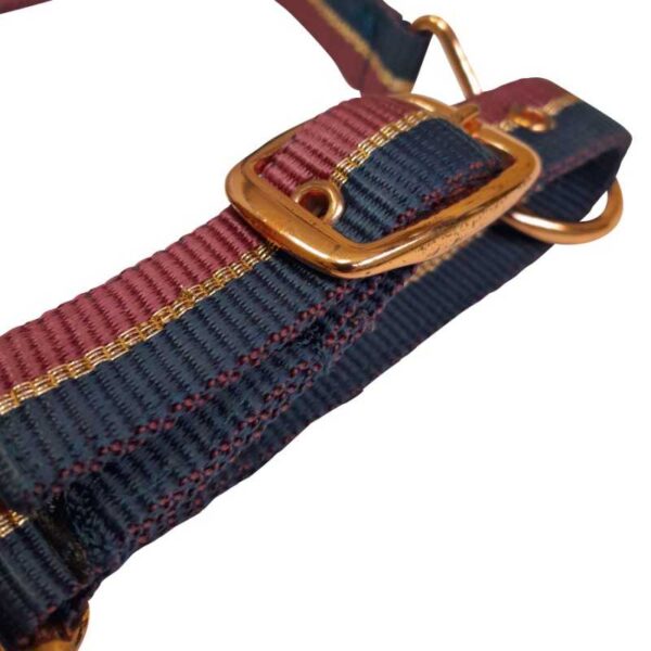 Cabezada de nylon con neopreno y herrajes dorados burdeos y azul marino, detalle de correa